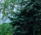 Продать Квартиры вторичка Шереметьевская улица, 85С2   