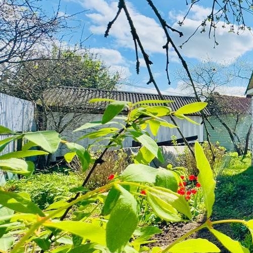 Коттедж/дом Заклинское СНТ, улица 1-я Центральная