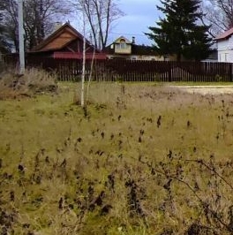 Продажа дома д. Малое Кикерино, улица Новая