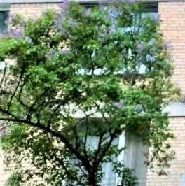 Продажа 4-комн квартиры на вторичном рынке Павлино мкр, Балашиха