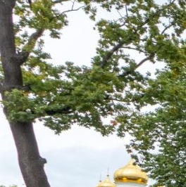 Продажа 4-комн квартиры на вторичном рынке Пушкин, Малая улица, 40