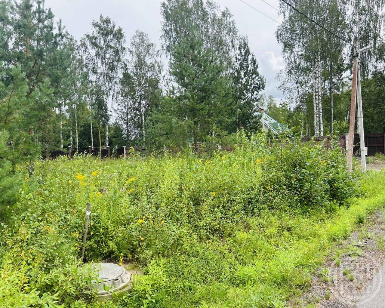 Продажа земли Березовая роща ДНП, Сертолово, улица Сиреневая