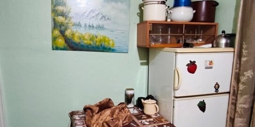 2-комн квартира Дибуновская ул,  д. 69