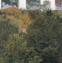 Продажа 2-комн квартиры на вторичном рынке ул Вешних Вод,  д. 2,  к. 6