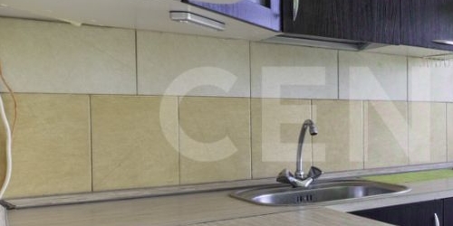 2-комн квартира Светлановский проспект, 48/19