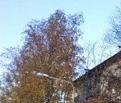 Сдать в аренду Квартиры вторичка Петергоф, улица Жарновецкого, 2   