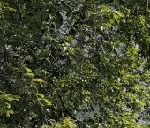 Продать Квартиры вторичка Филевский бульвар, 17   