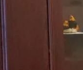 Продать Комнаты в квартирах Воронежская улица, 41   