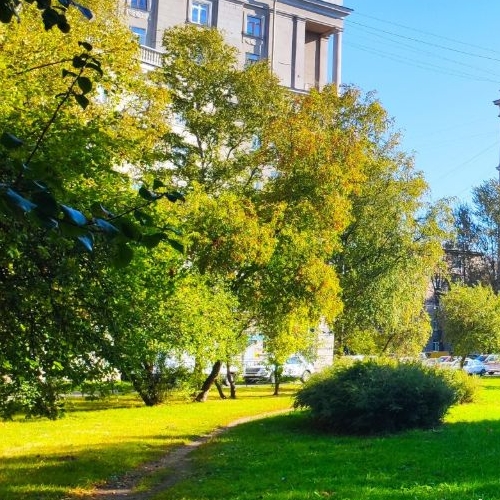 3-комн квартира Московское шоссе, 16к1