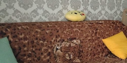 1-комн квартира улица Лазо, 6