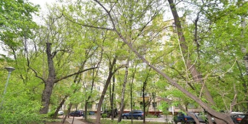 2-комн квартира улица Шумкина,  д. 15