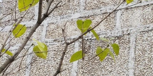 1-комн квартира Халтуринская улица, 14К4