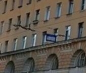 Продать Комнаты в квартирах Кондратьевский проспект, 18-20   