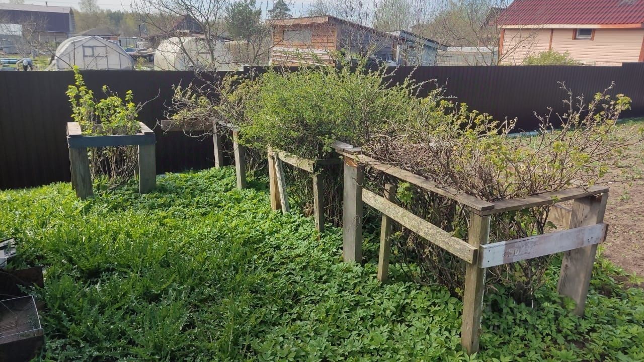 Продажа дома Приладожское СНТ, 44