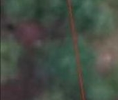 Продать Земельные участки, земля Ракитино садовое товарищество, Будогощь пгт, II линия  52 