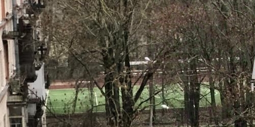 2-комн квартира улица Фрунзе, 6