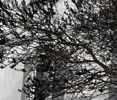 Продать Квартиры вторичка Приозерск, улица Калинина, 45   