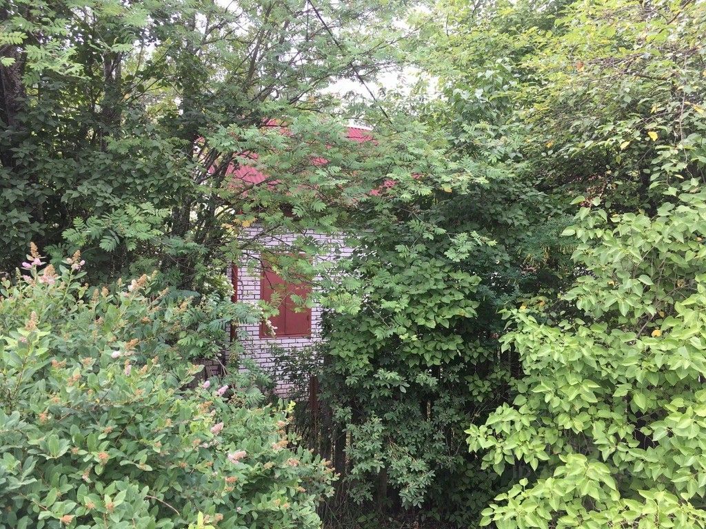 Продажа дома Будогощь пгт, улица Новая, 7