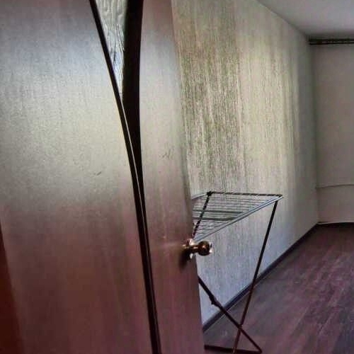 4-комн квартира Лодейнопольская улица, 2