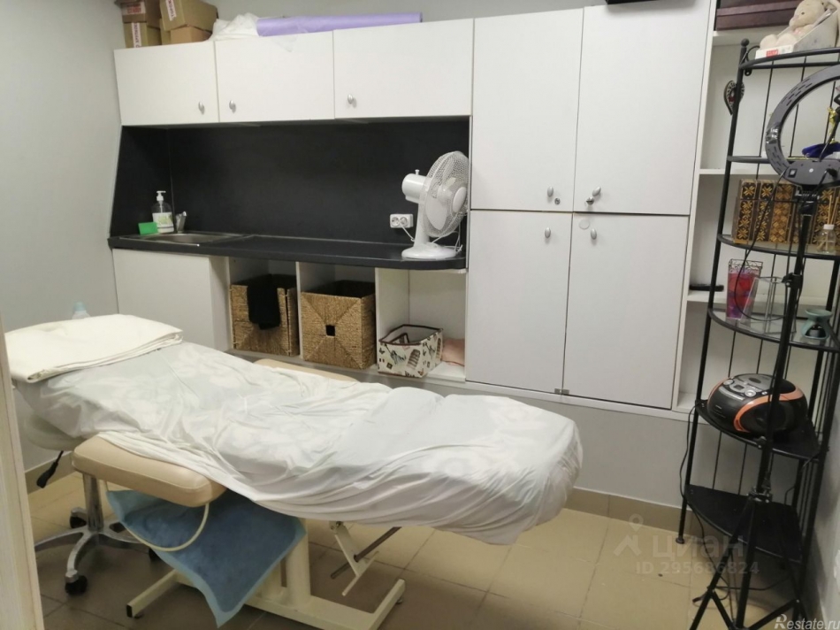 Аренда ПСН Пушкин г, Церковная ул