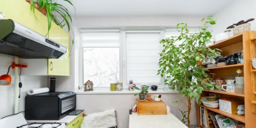 1-комн квартира Стойкости ул,  д. 29,  к. 2