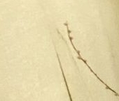 Продать Квартиры вторичка Серпухов, Физкультурная улица, 27   