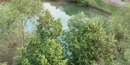 2-комн квартира улица Сталеваров, 4К1