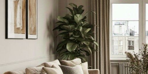 2-комн квартира пос. Шушары, улица Вишерская, 16