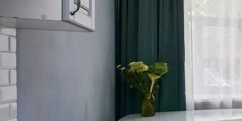 2-комн квартира Каменноостровский проспект, 65