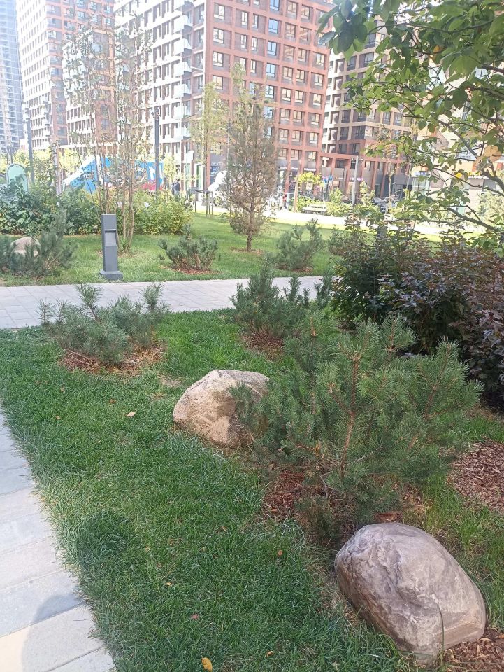 Продажа 2-комн квартиры на вторичном рынке Очаковское шоссе, 7