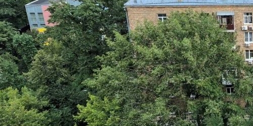 2-комн квартира Олимпийский проспект, 24