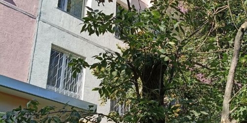 3-комн квартира Снайперская улица, 5