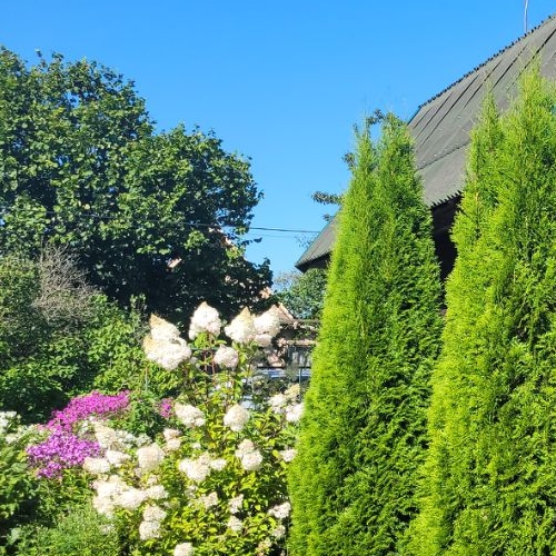 Коттедж/дом Факел СПК, 6-я линия, 99