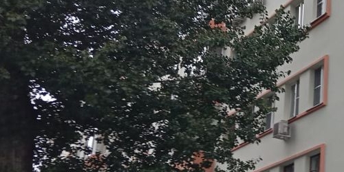 4-комн квартира Старая Басманная улица, 22кБс2