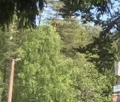 Продать Земельные участки, земля Сертолово, Медное Озеро-3 СНТ   