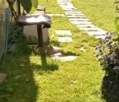 Продать Дачи, коттеджи, загородные дома Кюльвия СНТ   