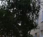 Продать Квартиры вторичка Елецкая улица, 35К2   