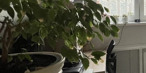 2-комн квартира Наличная улица, 30