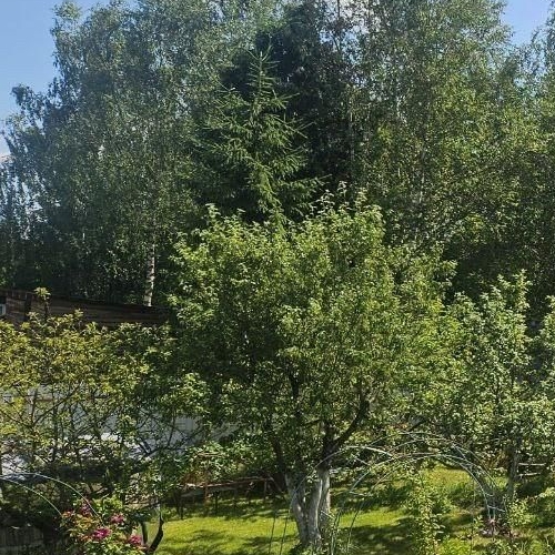 Коттедж/дом Красницы садоводческий массив, 5-я линия