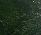 Продать Квартиры вторичка Таллинская улица, 15   