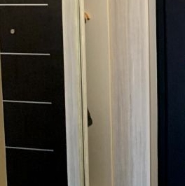 Продажа 1-комн квартиры на вторичном рынке Новоивановское рп, шоссе Можайское, 50