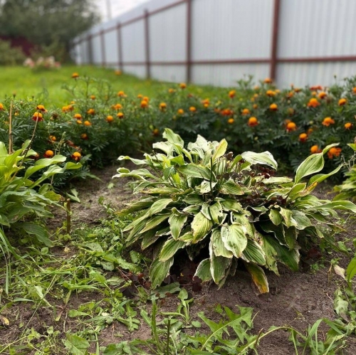 Коттедж/дом Черусти, ул Кирова,  д. 189