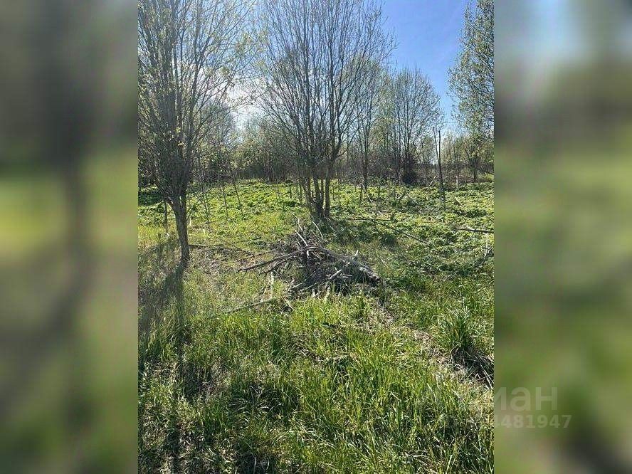 Продажа земли Большая Вруда д,  д. 3