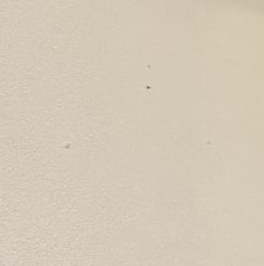 Продажа 2-комн квартиры на вторичном рынке улица Чапаева, 11/4