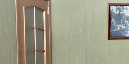 2-комн квартира Большая Посадская улица, 9