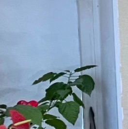 Продажа 2-комн квартиры на вторичном рынке Сосновый Бор, улица Красных Фортов, 17 Продажа 2-комн квартиры на вторичном рынке Сосновый Бор, улица Красных Фортов, 17