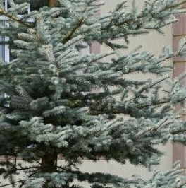 Продажа дома Каскад кп, 16