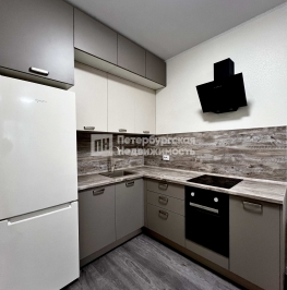 Аренда 1-комн квартиры на вторичном рынке поселок Парголово, поселок Парголово, Михайловская дорога, д 6 к 1