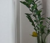 Продать Квартиры вторичка Кронверкский проспект, 51   