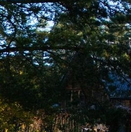 Продажа дома д. Бережок, 55 Продажа дома д. Бережок, 55